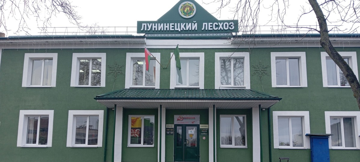 Лунинецкий лесхоз. Фото: https://belgosohota.by/