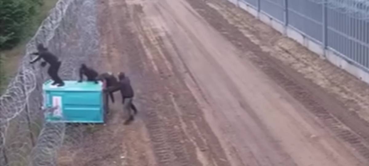 migranty