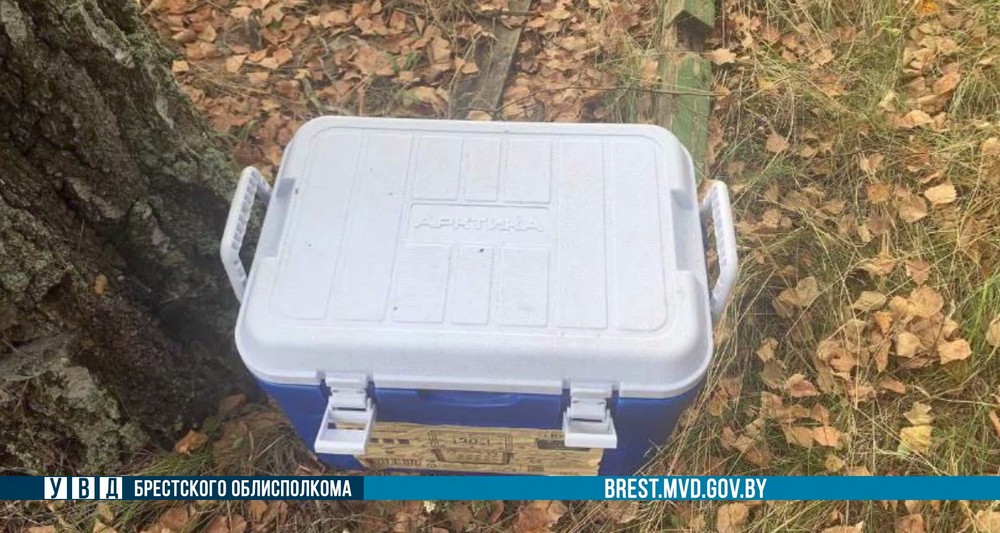 Контейнер, который украл житель Пинского района. Фото: УВД Брестского облисполкома