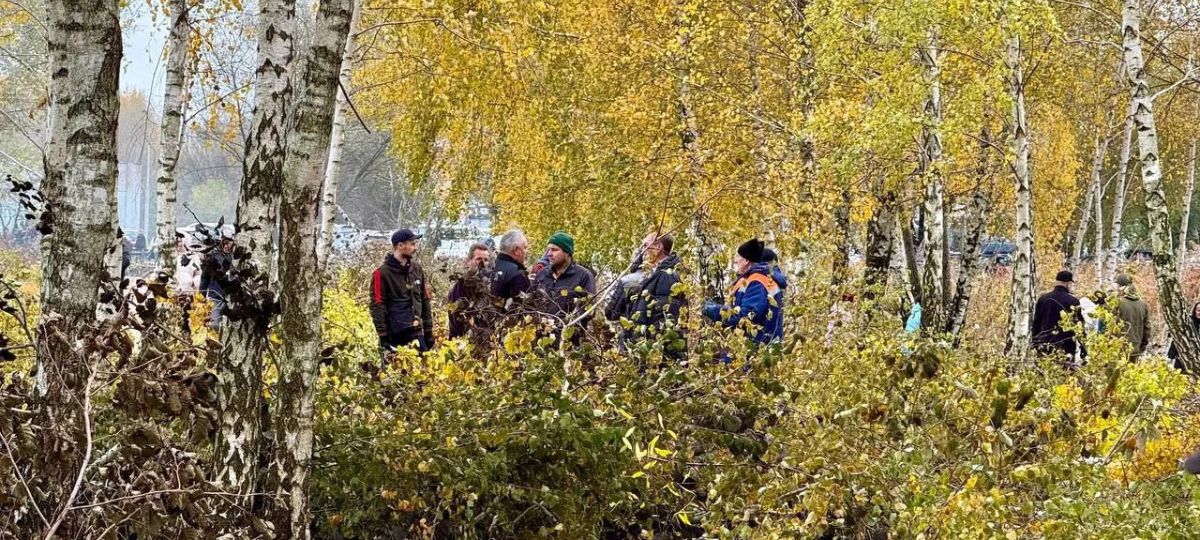 Субботник, уборка, люди, деревья