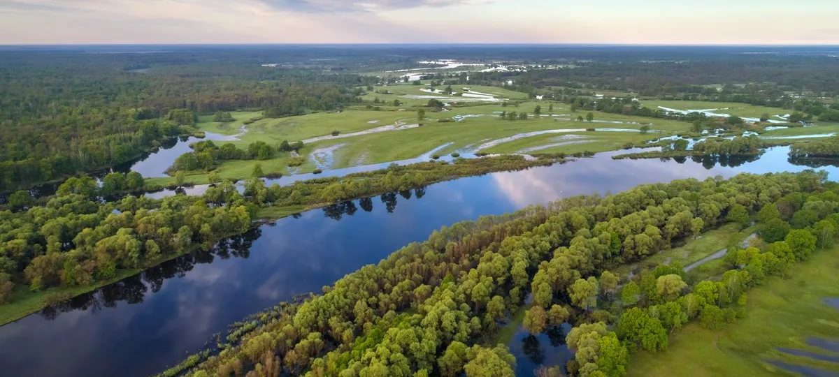 прыродны краявід Палесся