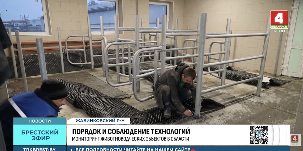 Скриншот с сюжета ТРК «Брест».