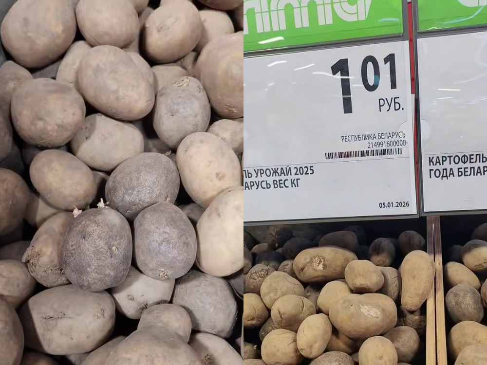 цена на картофель