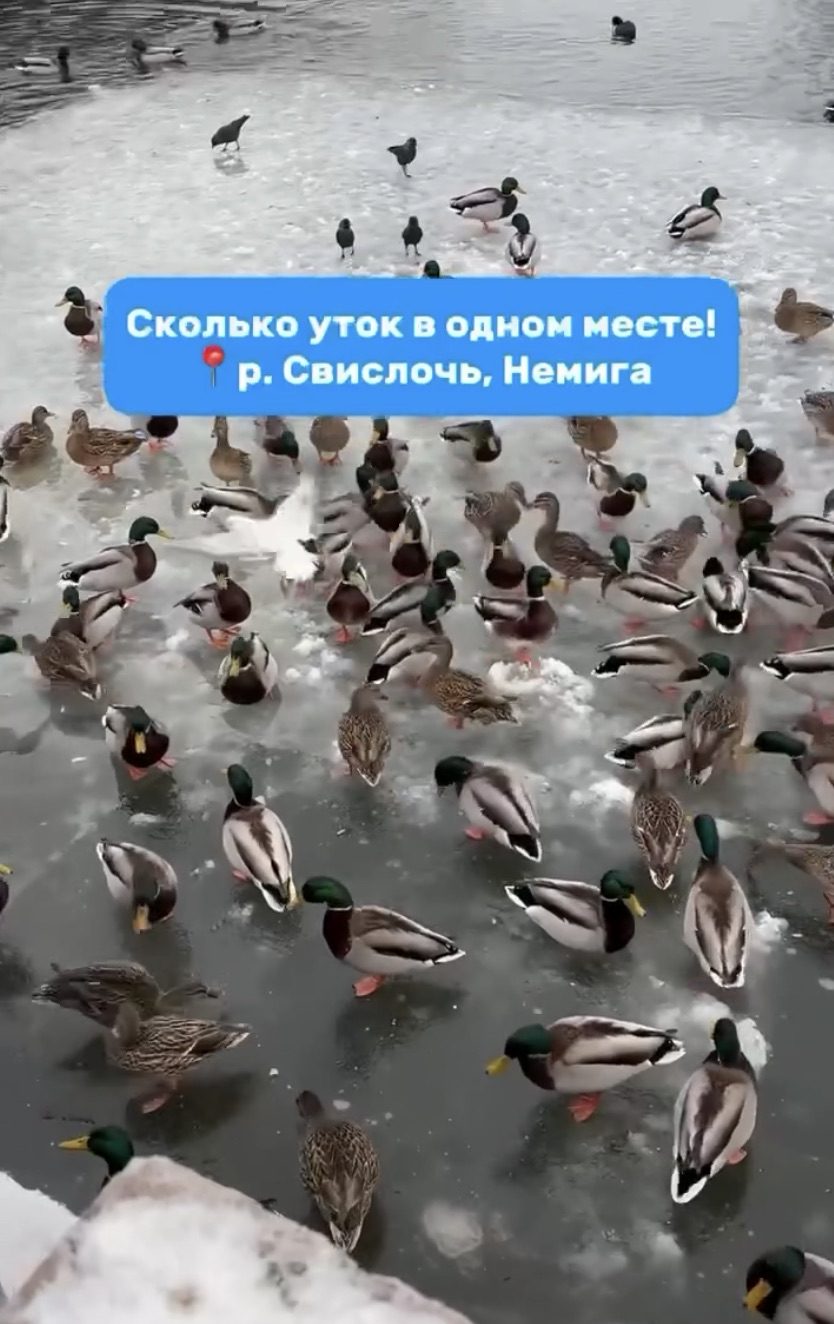 Скриншот видео из Threads.