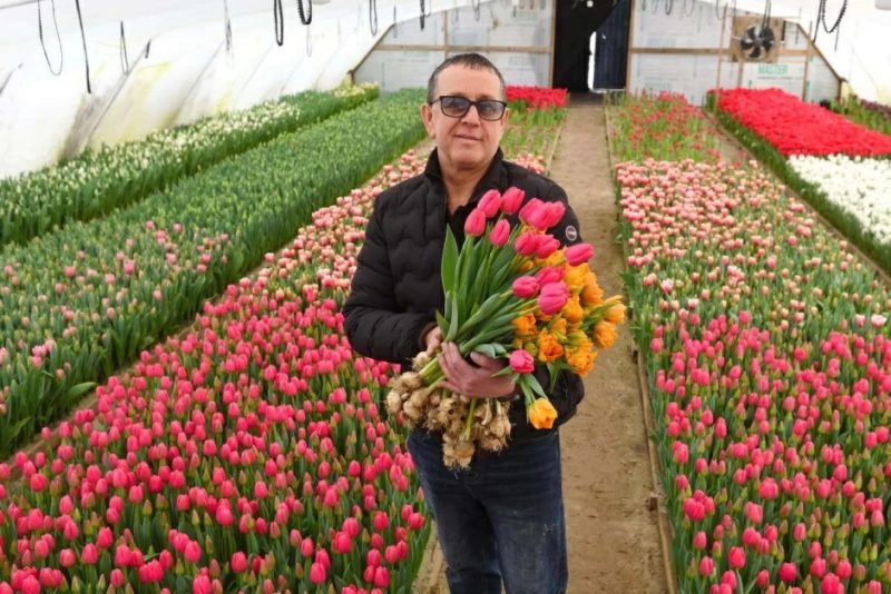 Владимир Диковицкий в своей теплице. Февраль 2025 года. Фото: smartpress.by