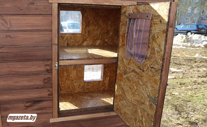 дом для котов