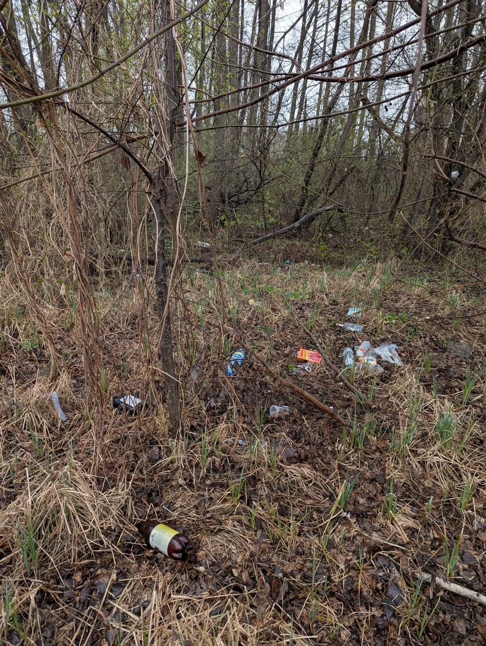 Мусор недалеко от улицы Вересковой в Бресте. Фото Павла из Threads