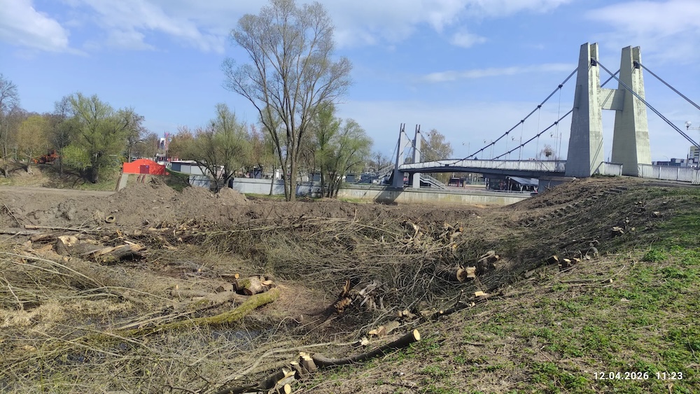 Вырубка деревьев в городе в Бресте