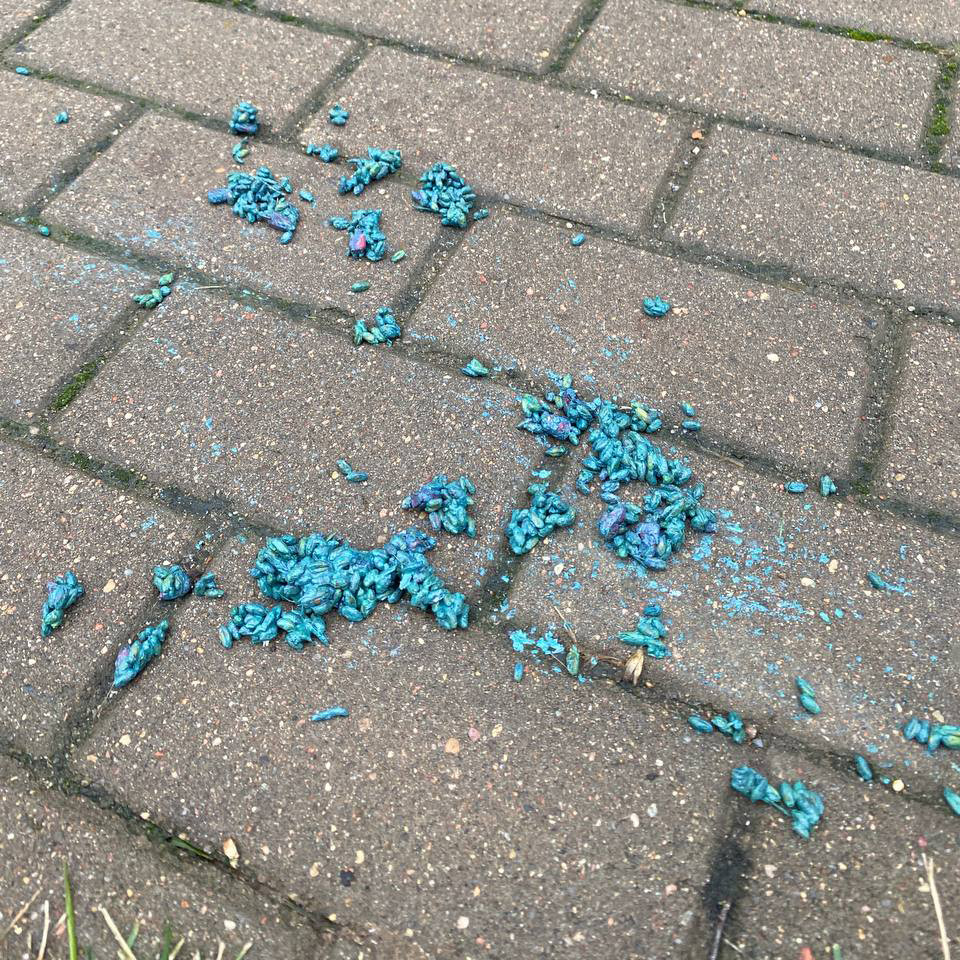 Яд для животных в минском ЖК «Каскад»