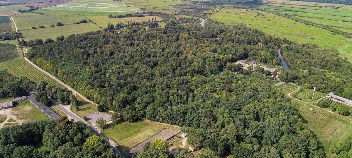Парк возле деревни Поречье в Пинском районе. Фото: https://planetabelarus.by/