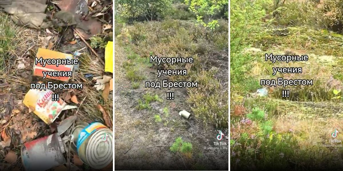 Разбросанные консервные банки в лесу под Брестом. Коллаж BGmedia